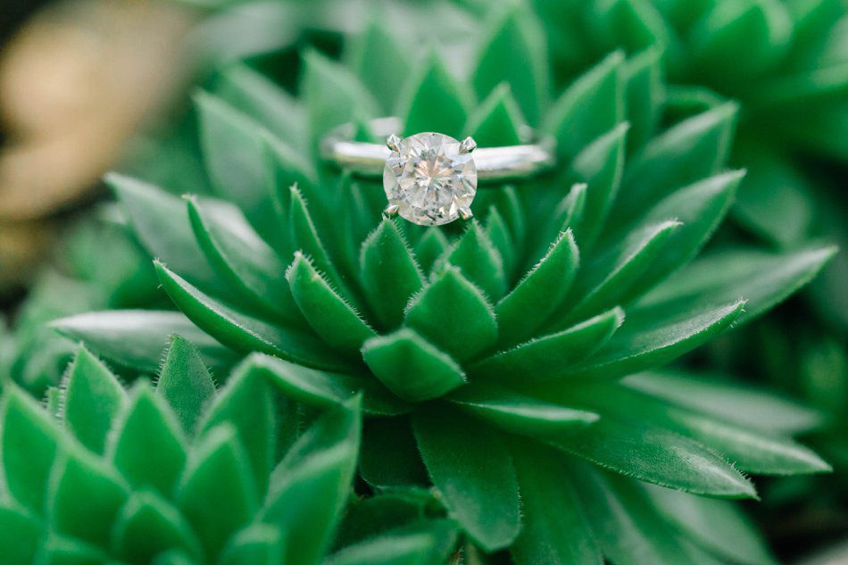 engagement ring on a plant