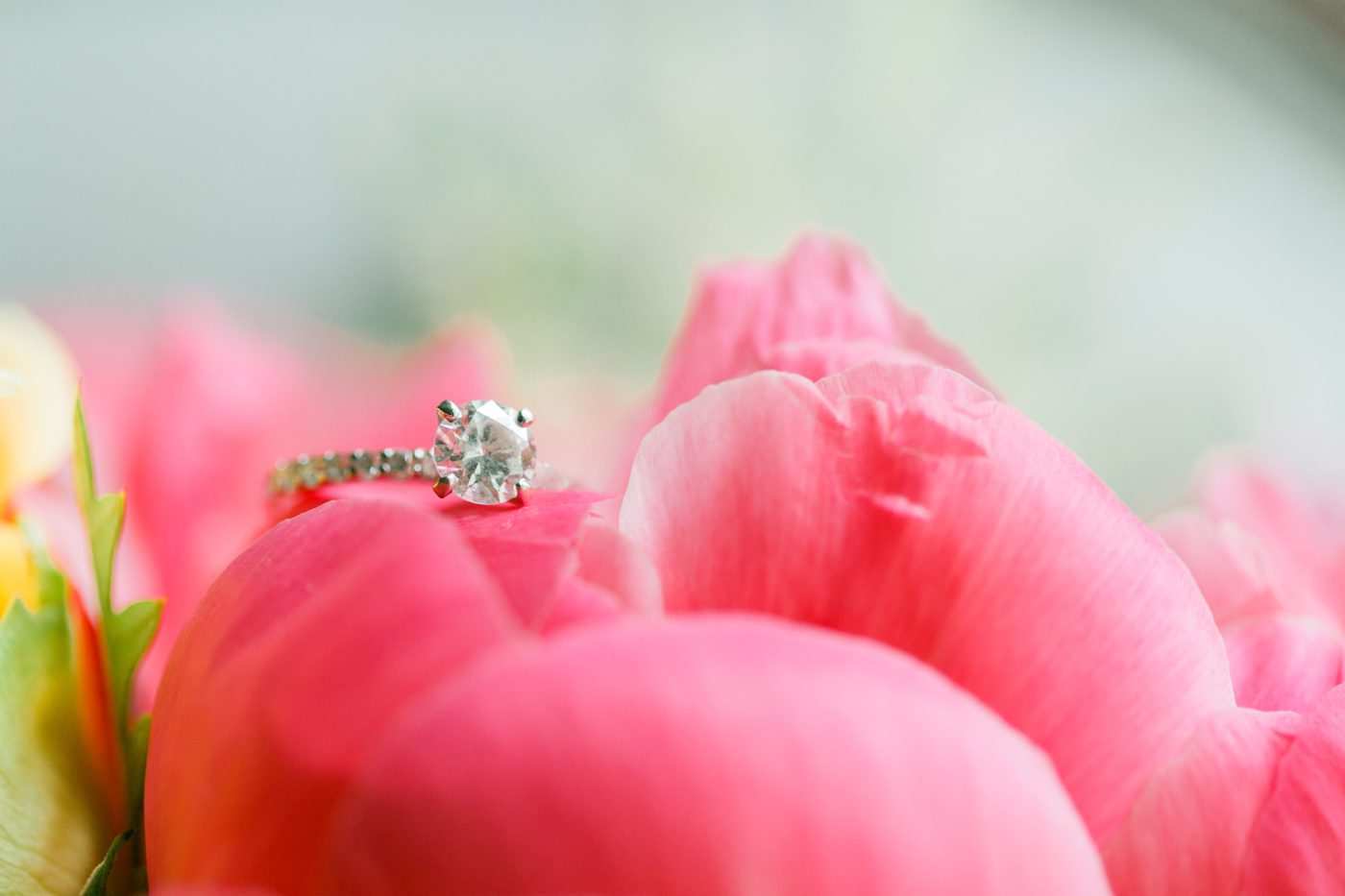 Photo of diamond engagement ring laying on pink peony flower by Catherine Ann Photography