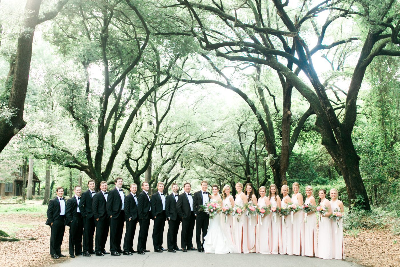 Southern wedding photo of bridal party under an avenue of oaks. Photo by Charleston wedding photographer Catherine Ann Photography