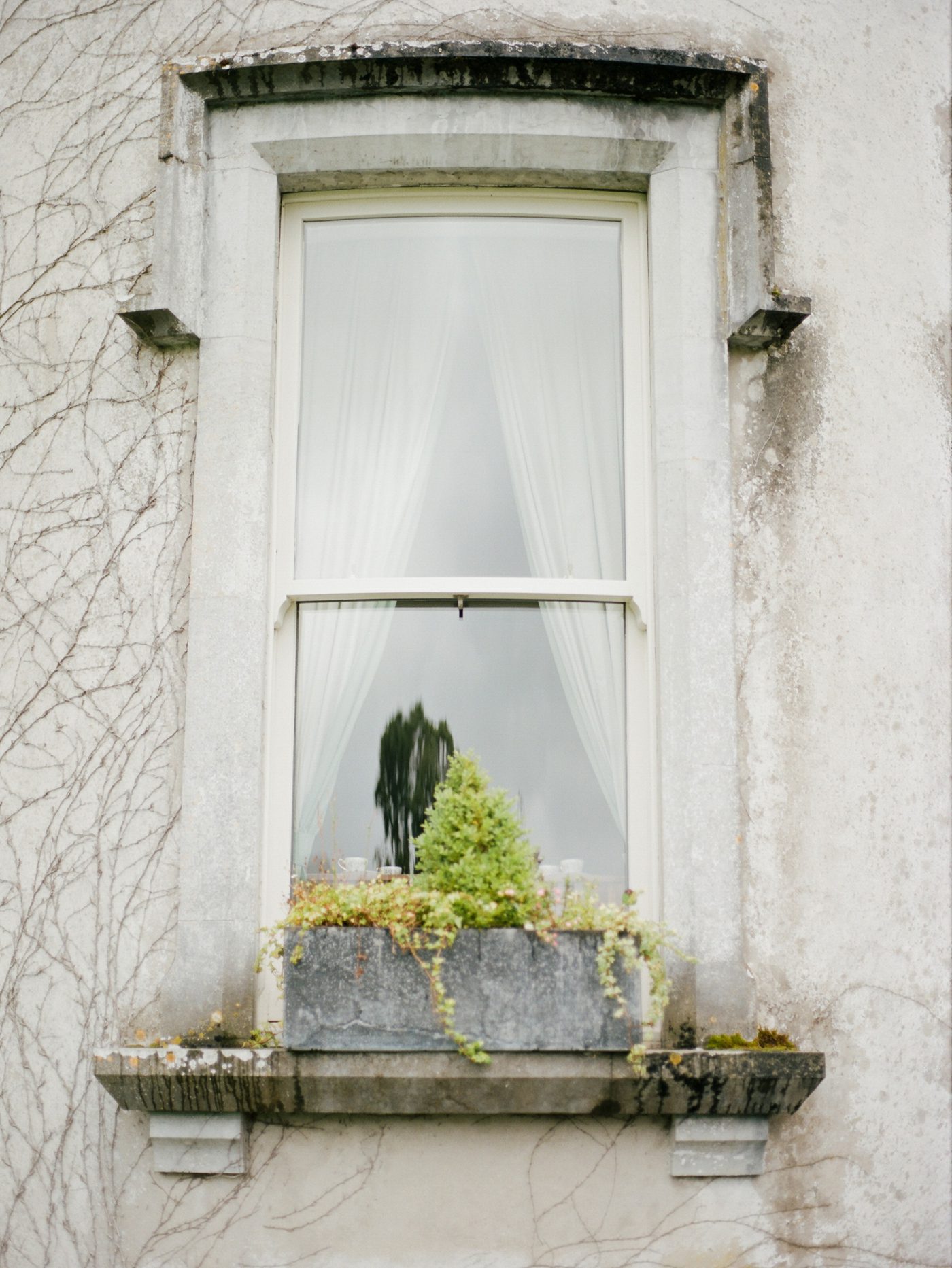 Curved window at Ballyseede Castle 