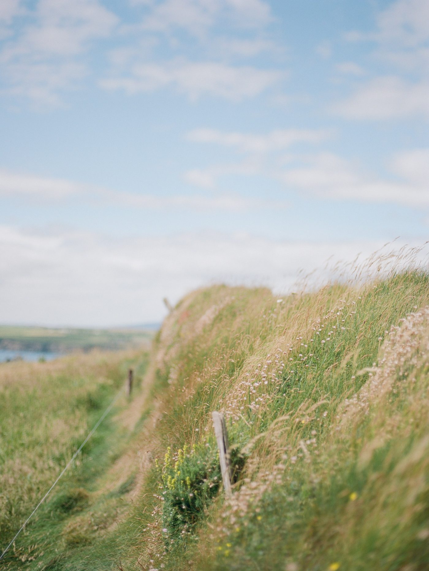 grassy hillside in western Ireland