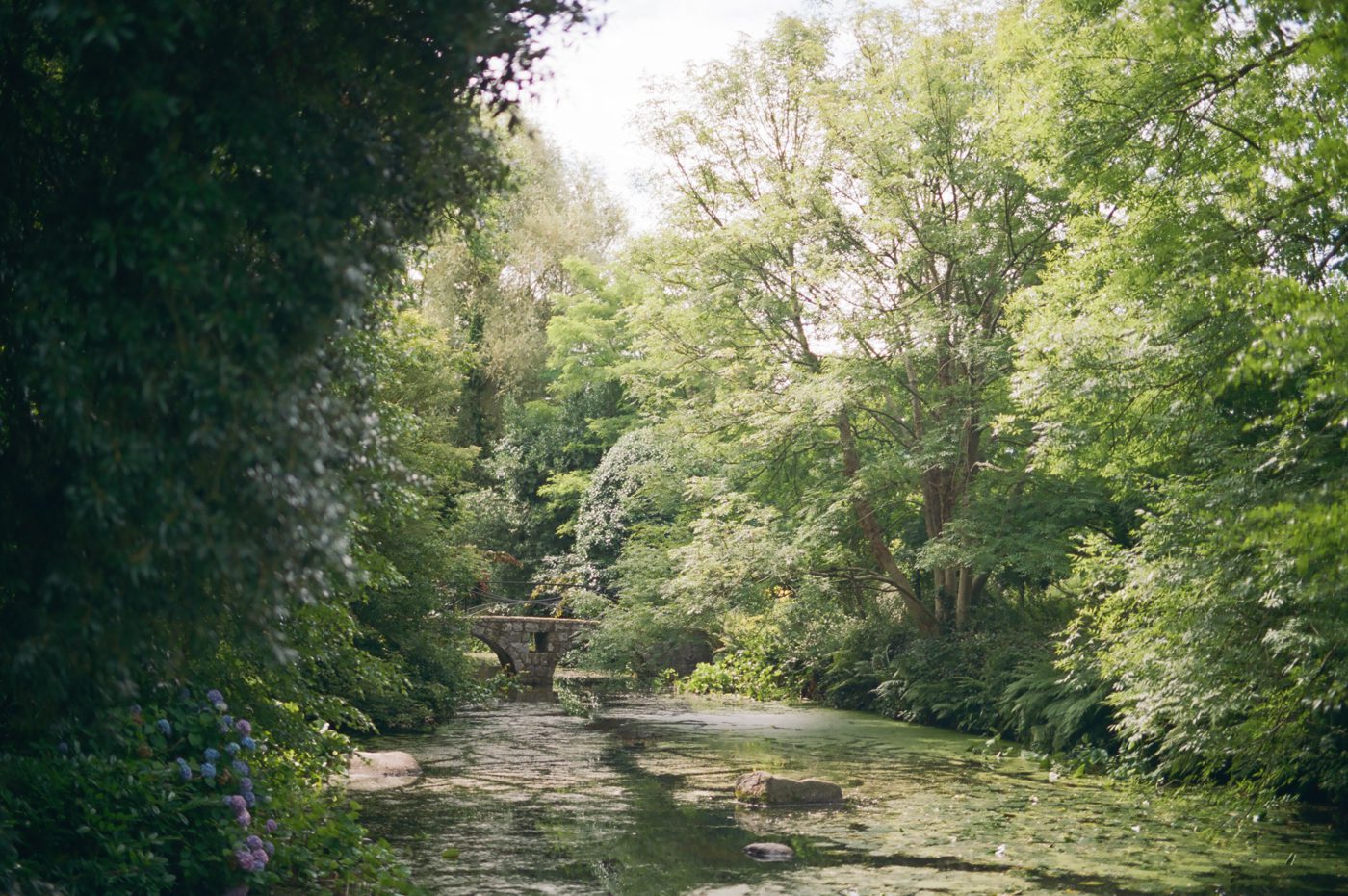 Secret garden in Ireland with stone bridge and lake 