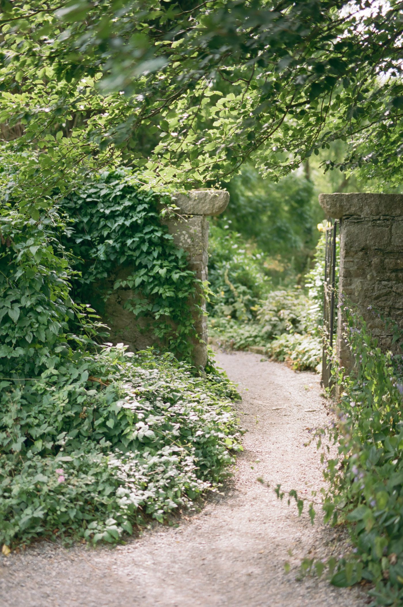 Stone gate and path in Ireland 