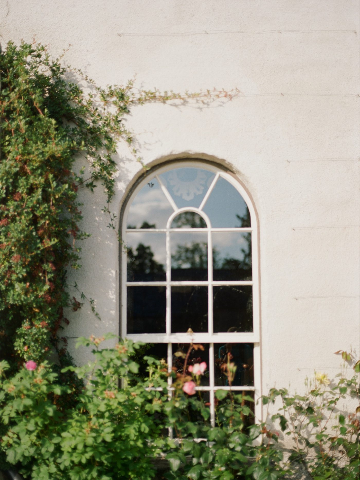 Irish castle window travel photo 