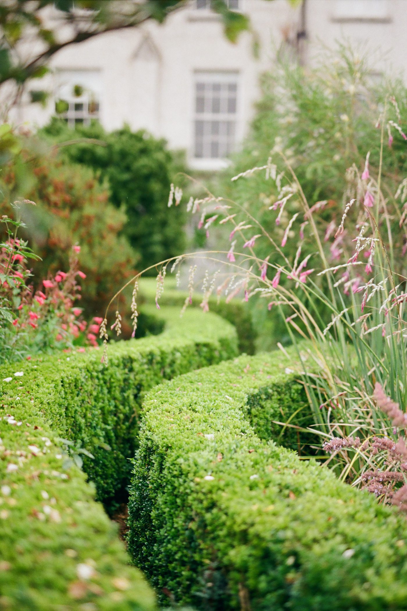 Secret garden at the Kilruddery House 