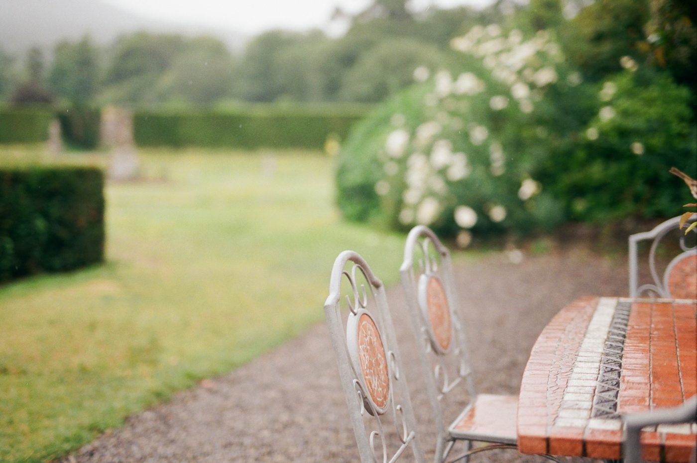 Rainy day picture of an Irish garden