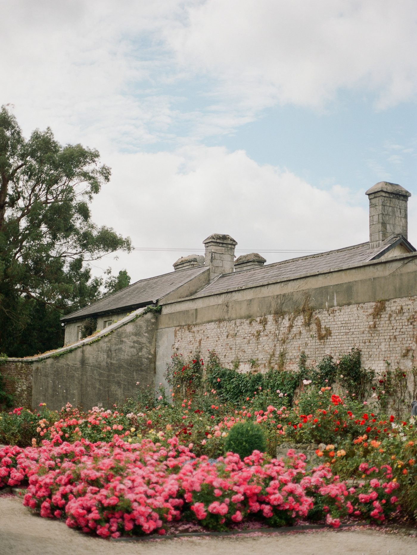Powerscourt house and gardens co. Wicklow Ireland 