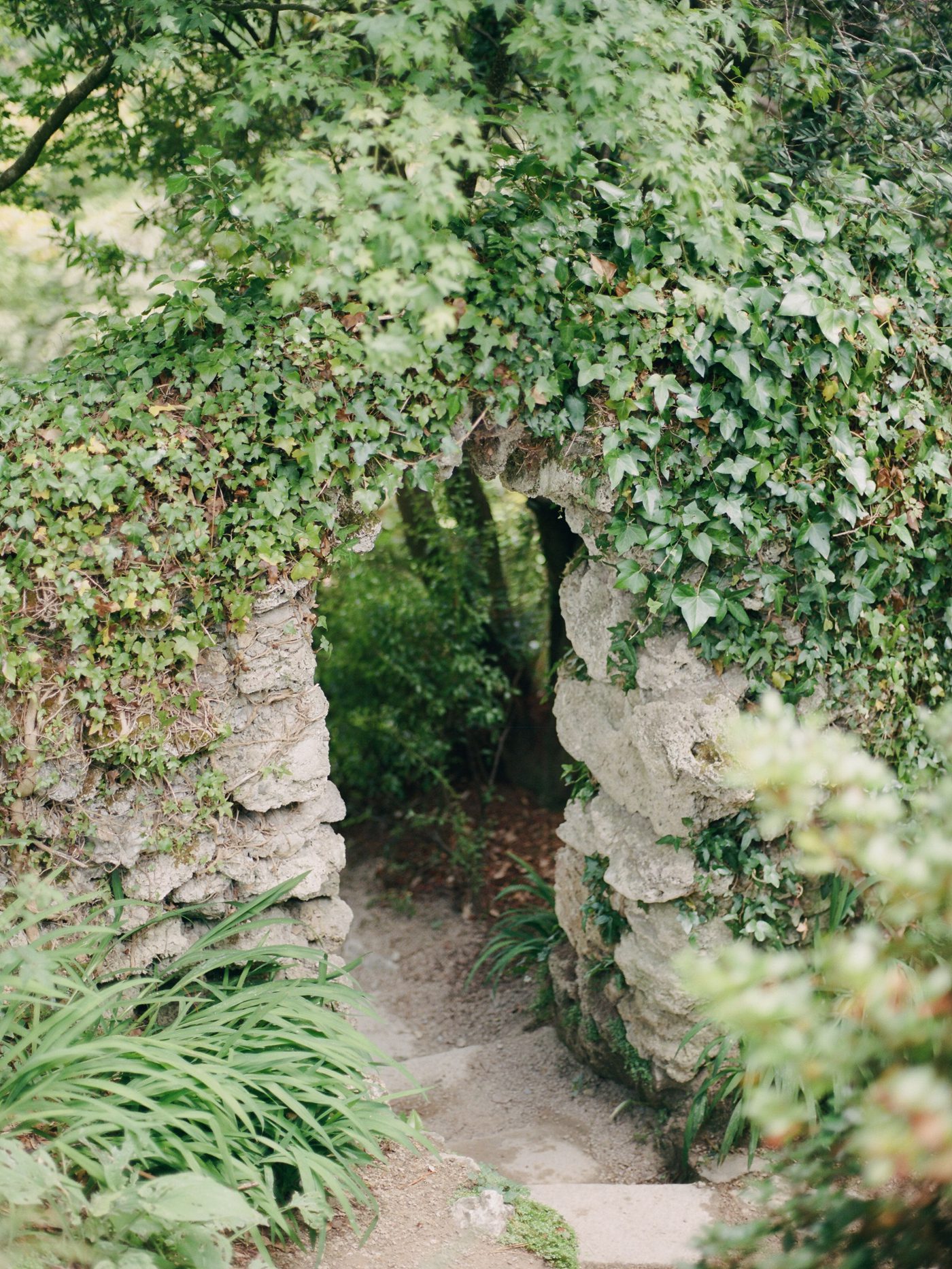 Irish garden pic