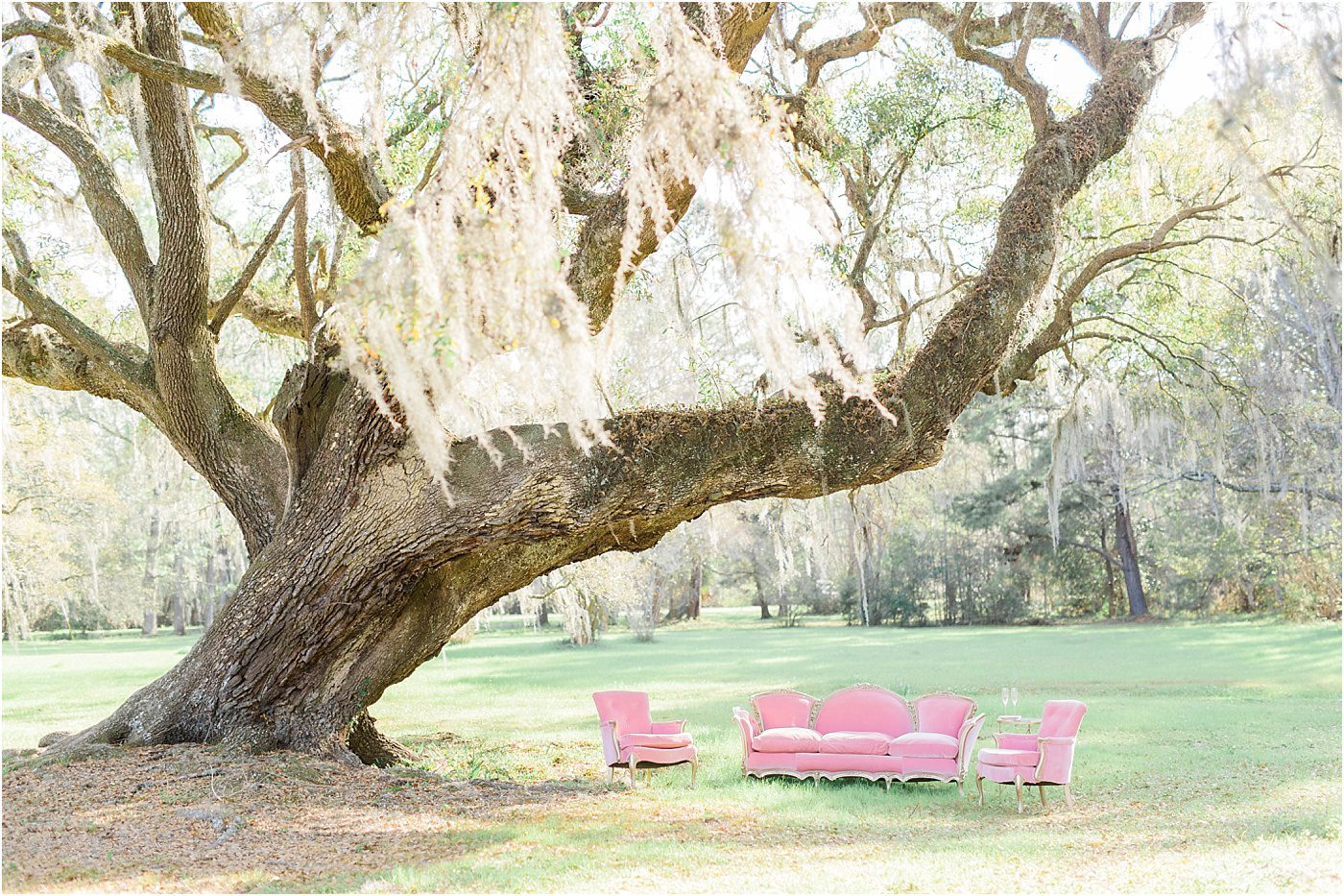 Pink and White Elopement at Magnolia Plantation | Charleston SC Wedding Photographer | Catherine Ann Photography