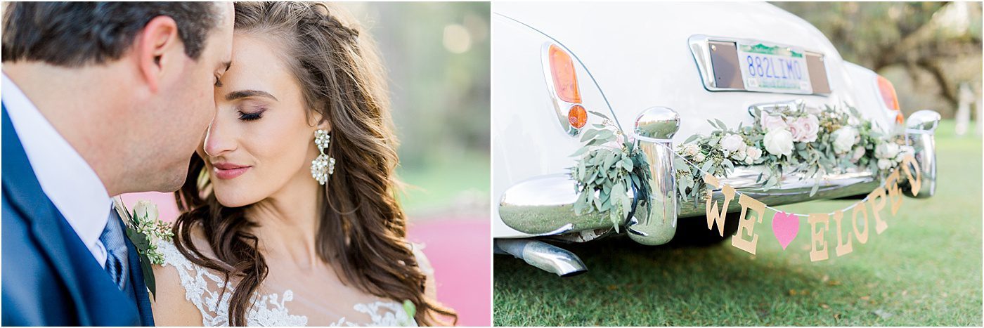 Pink and White Elopement at Magnolia Plantation | Charleston SC Wedding Photographer | Catherine Ann Photography