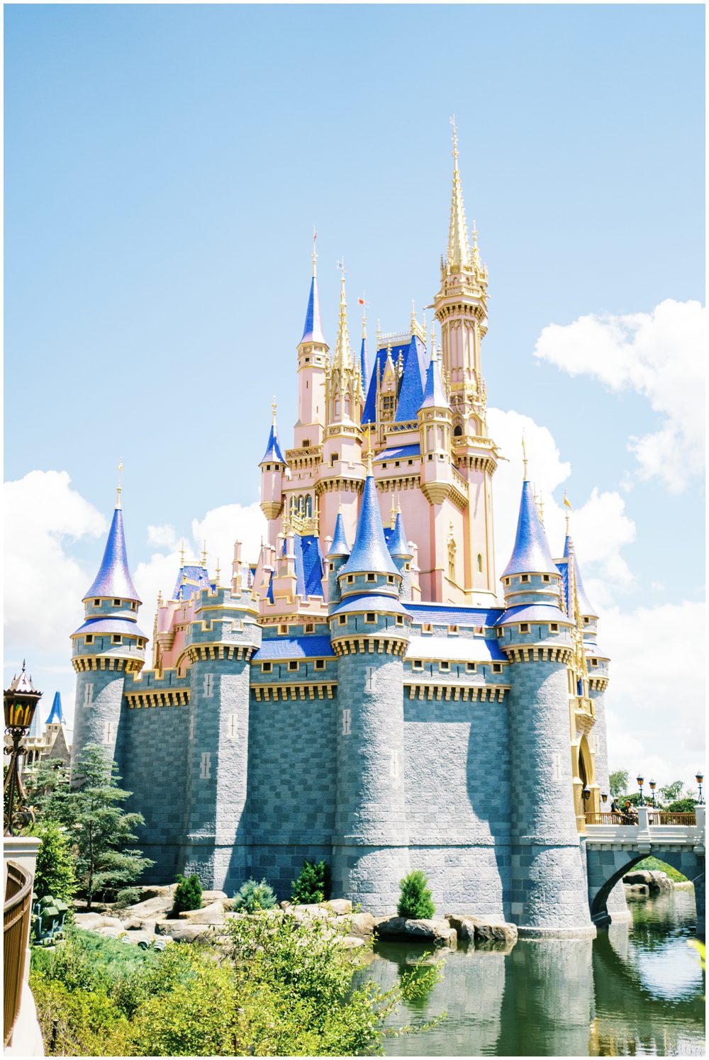 Pink Cinderella Castle photo