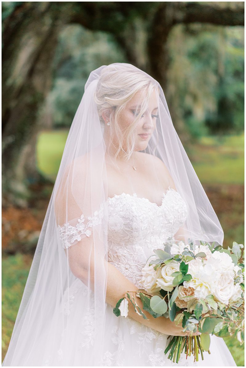 romantic bridal portrait of the bride wearing a blusher veil 