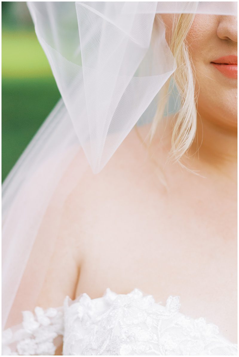 romantic wedding photo idea with bride wearing a veil 
