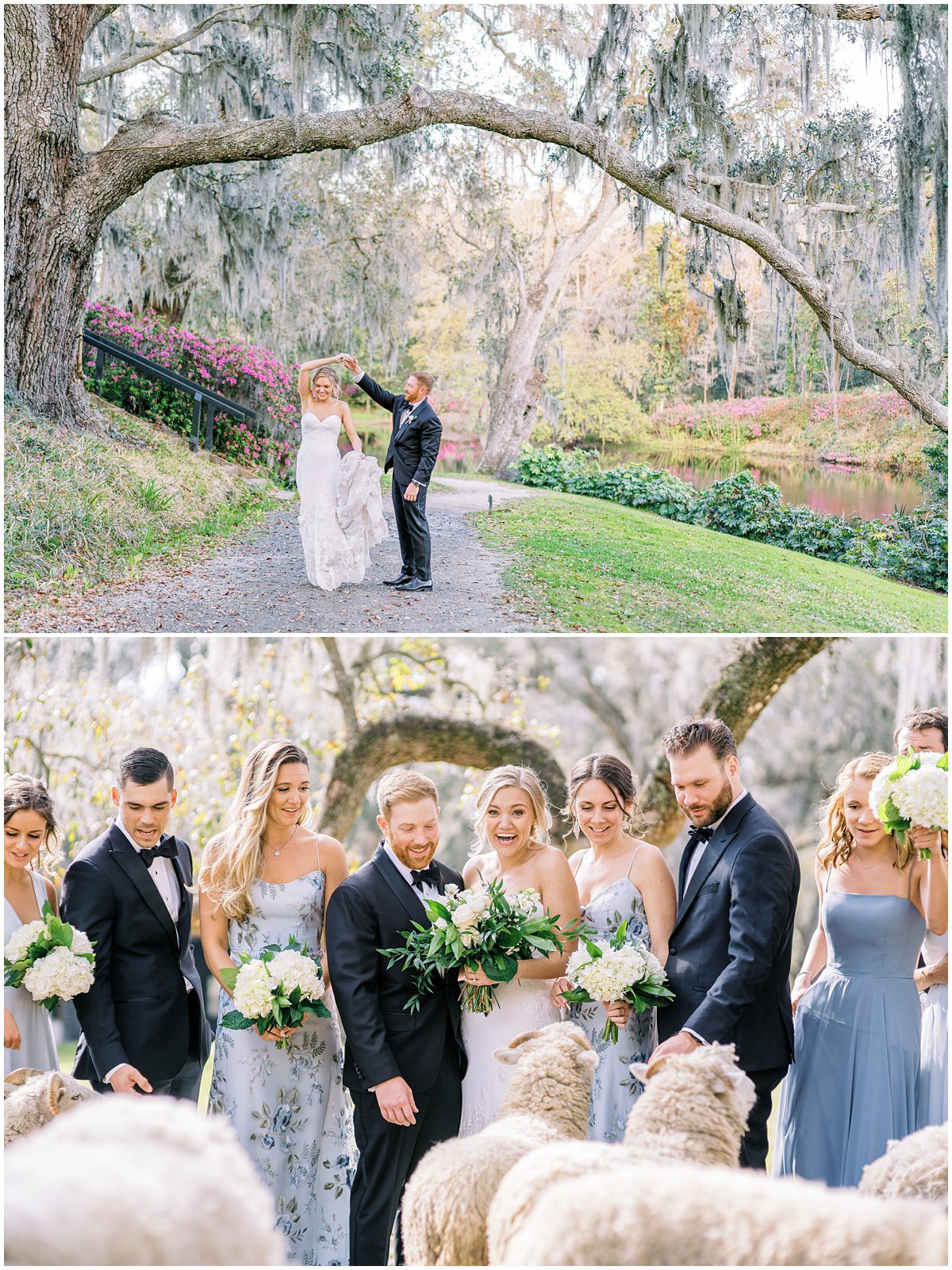 The Best Charleston Wedding Venues in Spring