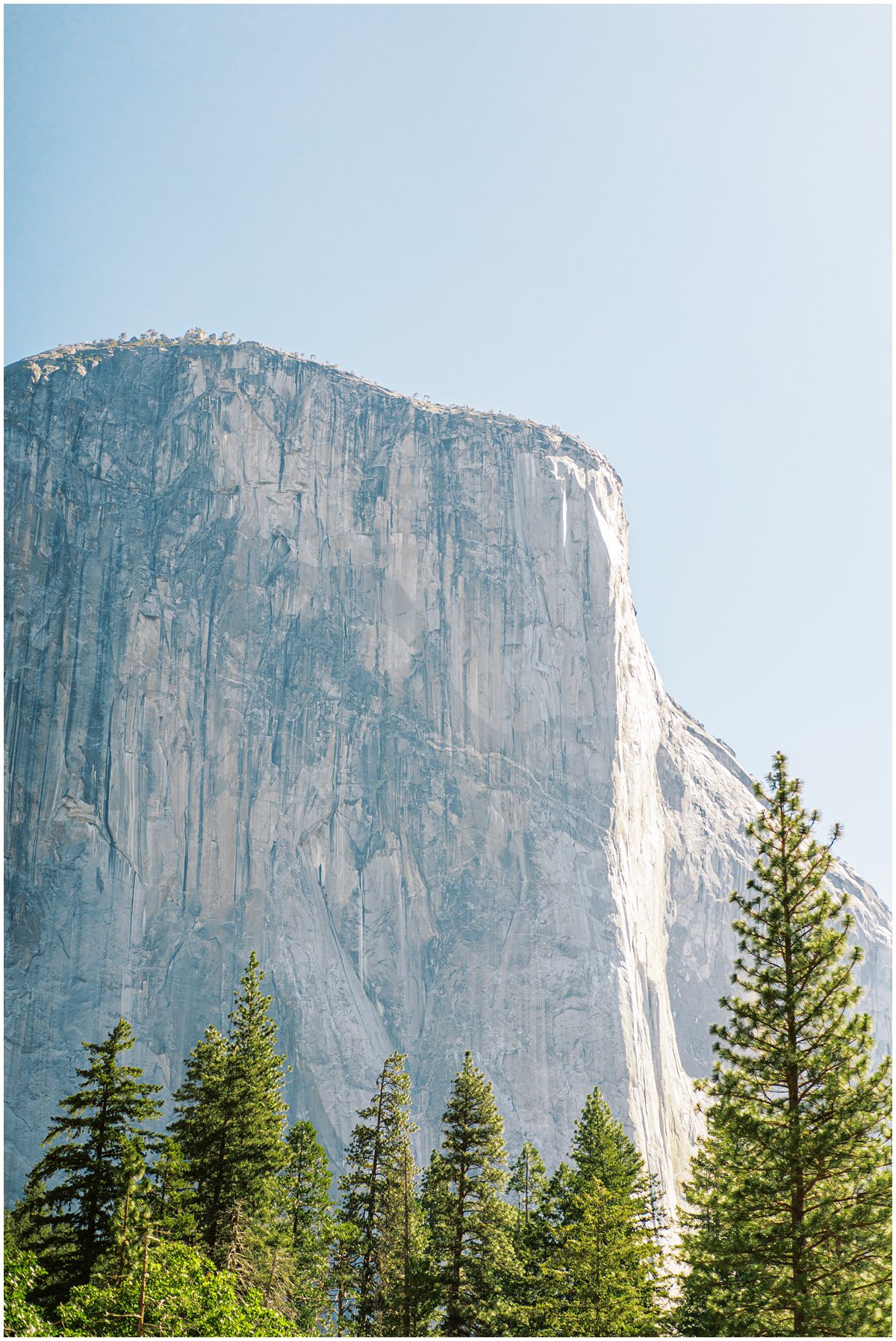 Yosemite National Park elopement photographer