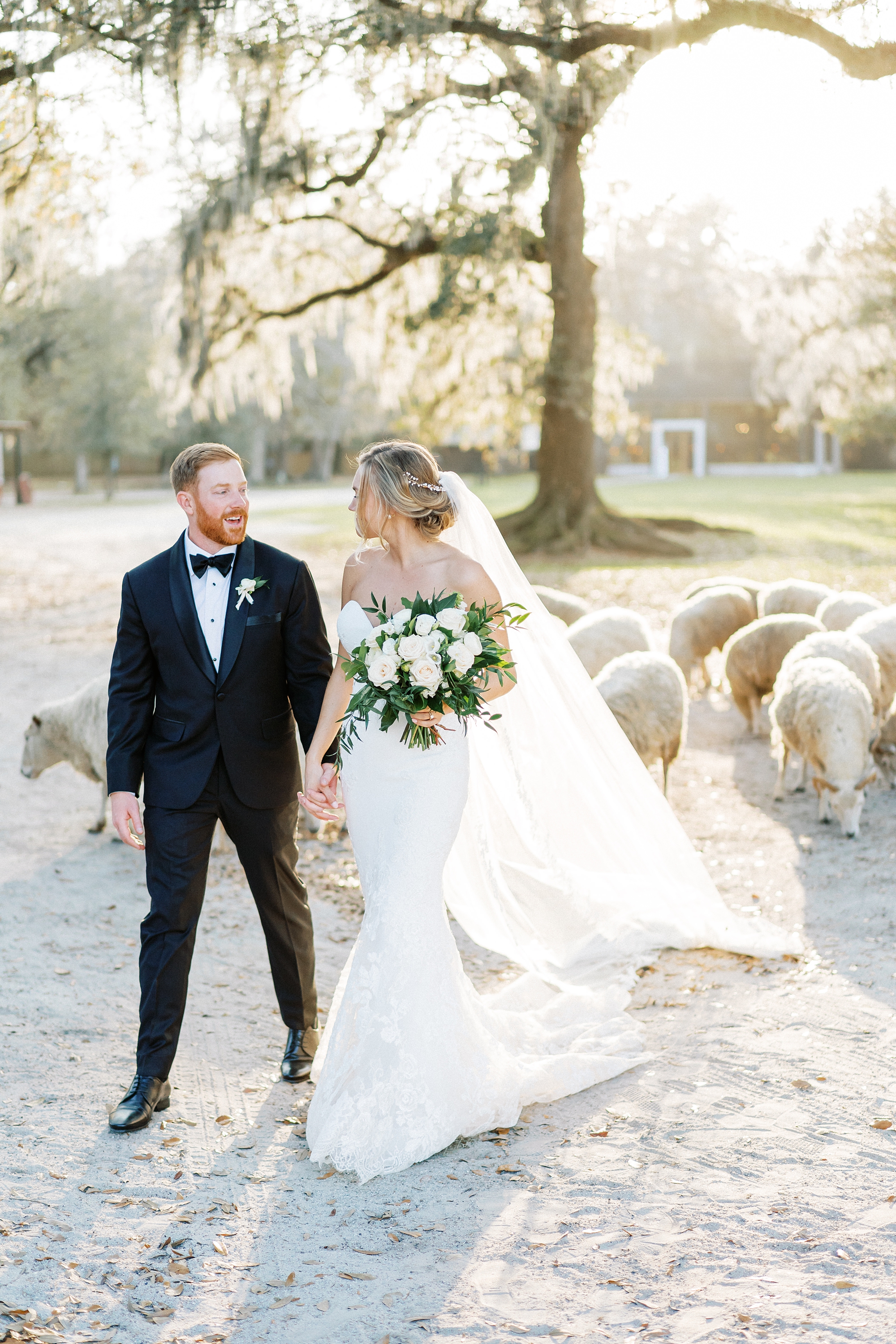 Bride and groom with the sheep at Middleton Place