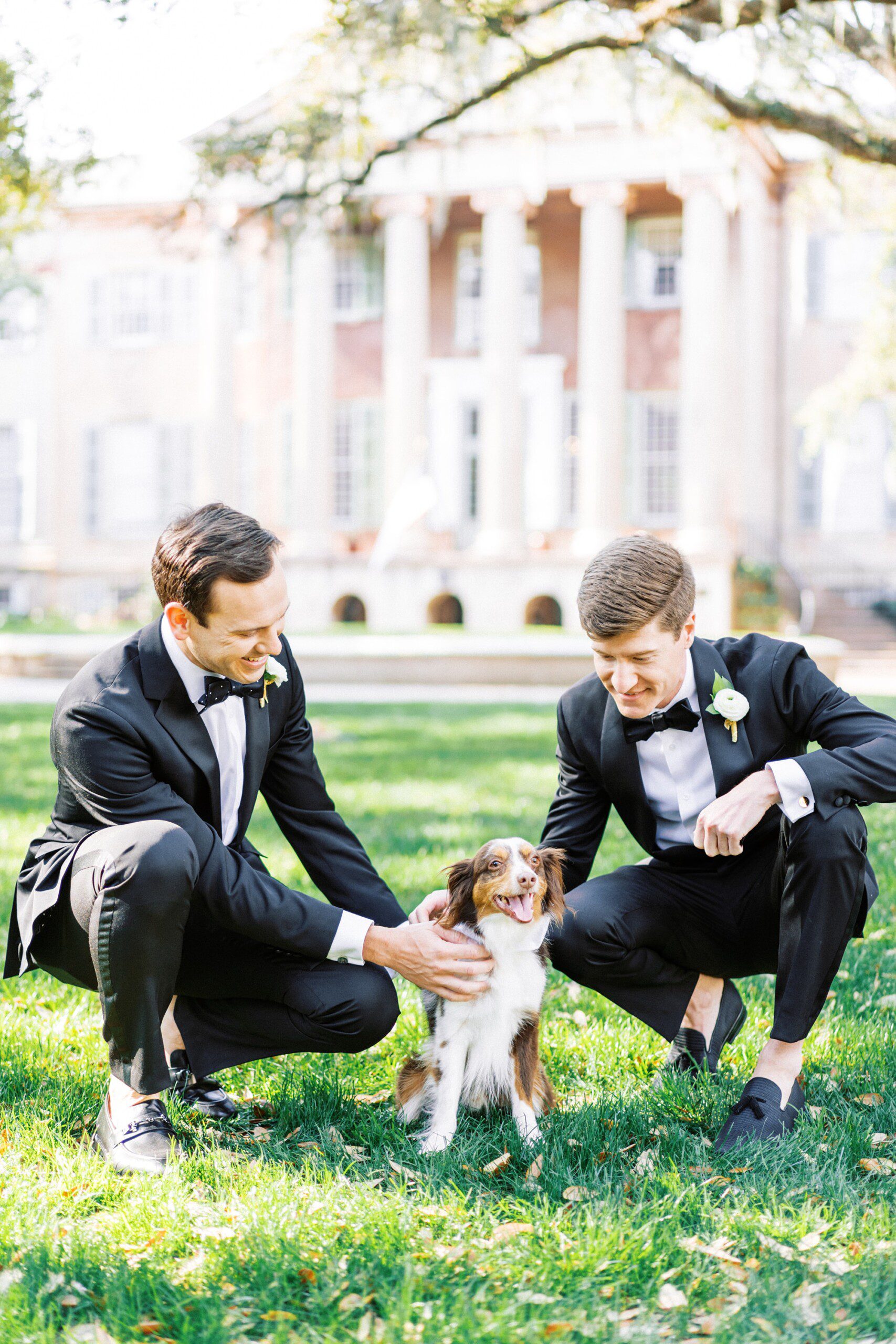 two stylish grooms petting their mini Australian shepherd at their wedding in Charleston